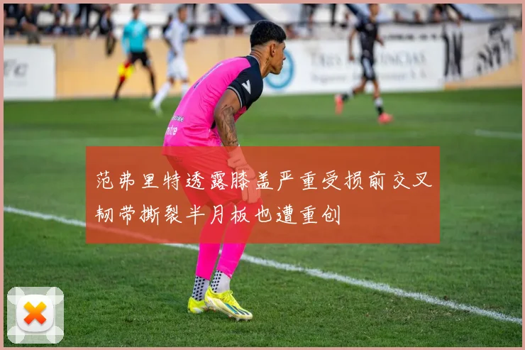 范弗里特透露膝盖严重受损前交叉韧带撕裂半月板也遭重创